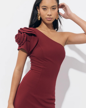 ADELYN RAE
DION ONE SHOULDER FLORAL APPLIQUE MAXI DRESS