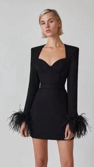 Shop Feathered Dresses at Obscur International